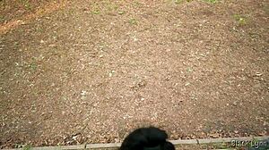 Complete Girlfriend Experience