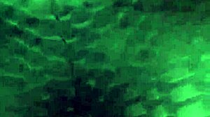 Big Booty Wife Dances And Shakes Her Ass