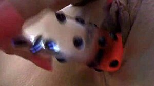 watch lily lane fuck the glass dildo in pantyhose then swallow huge cum