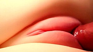 Her perfect pussy shaped for anal and handjob