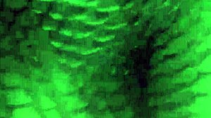 Big Booty Wife Dances And Shakes Her Ass