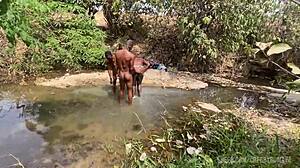 Zainab Deepthroats Monster Cock In Public Spring Break Group