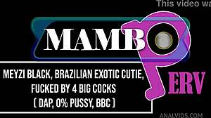 Meyzi black brazilian exotic cutie fucked by 3 big cocks dap 0 pussy 3on1 atm dirty talk bbc exotic girl ob451