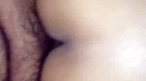 I Fuck My Prostitute And Upload More Whores