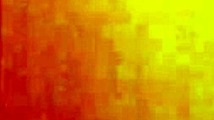 Wild Bareback Sex in the Forest