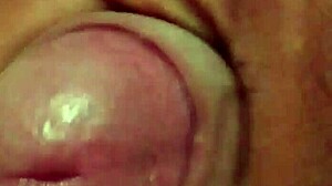 Ponheta sergipana she says while masturbating alone