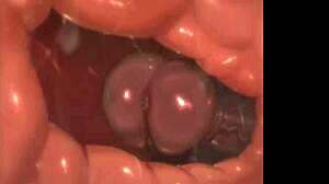 Watch this animated furry porn compilation explode with big tits and asses!