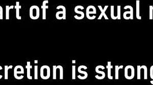 Ava siren as school officer intensely fucks student in pov