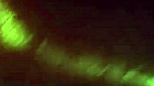 Oiled Ass Fuck With Wet Anal And Fucking