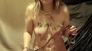 slave f belt strikes indoctrination apr 07 2025