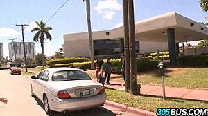 Spanish Babes Abella Anderson and Ava Addams in Wild Orgy