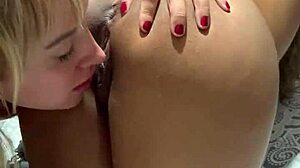 Bunnies fucking intensely and pleasurably