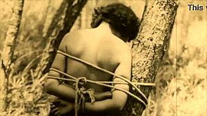 dark lantern entertainment presents steam age porn