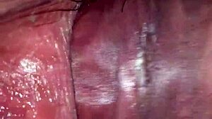 Mi cuñada de 18 años me llama para calmar sus ganas