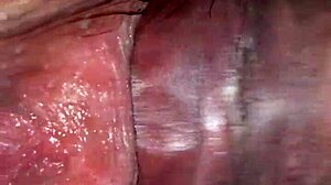 Mi cuñada de 18 años me llama para calmar sus ganas