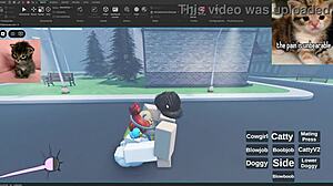 V4 Showcase Dm Sillyhilariousactivities If Interested