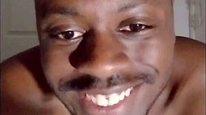 i changed my favorite dance name from the heartbreak llamasr dance to the heartmake llamasr dance