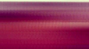 Wow, Behind the Scenes Yessica Bunny Pissing and Double Anal Penetration LTP355!