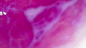 camera plunges deep into wet pussy capturing intense orgasm