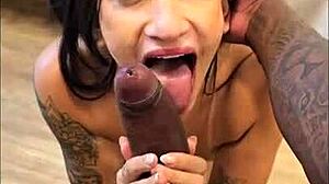 Black friend offers dick i take it