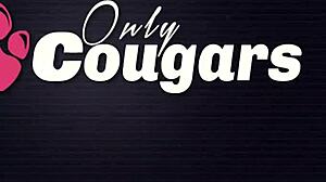 sandra cat explores her toy in private