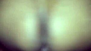 Late Night Session With My Brooklyn Bitch