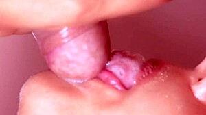 Blowjob Cheating Japanese Wife