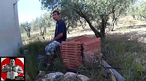 Summer Outing in the Town in Public