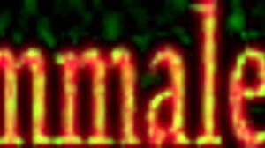 Emmaleetv001 Tranny Disciplined, Spanked, And Fucked With Strapon