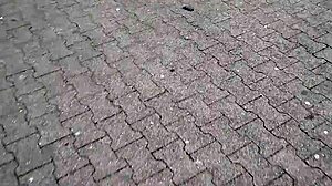 hot blonde loses anal plug remote in public supermarket flashing