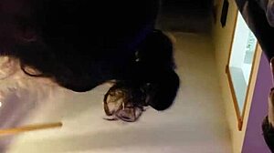 Does My Slut Gf Suck Dick Well?