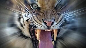 i fucked the skinny girl with huge ass completely.