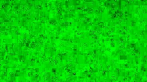 i wonder what my bbw wife is sucking with this stranger