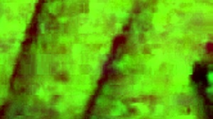 Waking Up Horny In The Middle Of The Night