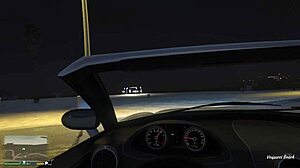 Hooker In Gta 5, First Person View?