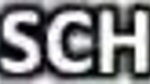 Riders In The Storm - Ai Illustrated Leather Porn Dream