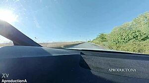 I enjoyed the road trip adventures