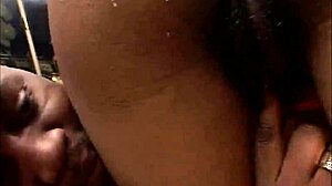 Chocolate Candy Cuntz volume 2 scene 6 features ebony bitch riding shaved pussy hard.