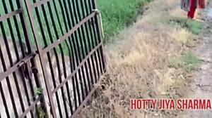 Desi girl outdoor fuck with her boyfriend