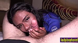 european client enjoyed shemales rose asshole after passion blowjob