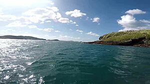 Pernocas And Joy Cardozo Engage In Live Oral Sex During Boat Trip