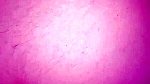 Fuck deep anal and creampie with big black cock.