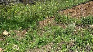 american tourist is saudi arabia is shocked sextoy dealer offers her a second hand dildo to gape her pussy