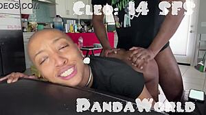 Bald Ebony Submissive Slut Gets Her Asshole Destroyed by Massive BBC in Anal Session