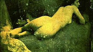 Dark Lantern Entertainment presents two centuries of vintage porn.