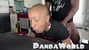 Bald Ebony Submissive Slut Gets Her Asshole Destroyed by Massive BBC in Anal Session