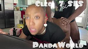 Bald Ebony Submissive Slut Gets Her Asshole Destroyed by Massive BBC in Anal Session