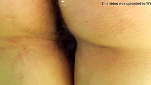 Licking hairy ass of mature women amateurs