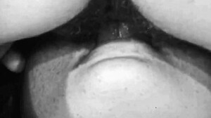 Vintage Pussy Eating Lesbians