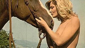 Dark Lantern Entertainment Presents Classic Beauty And The Beast